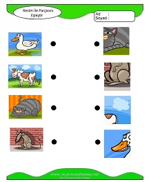 okul öncesi çocuklar için Sayı Sayma çalışma sayfaları